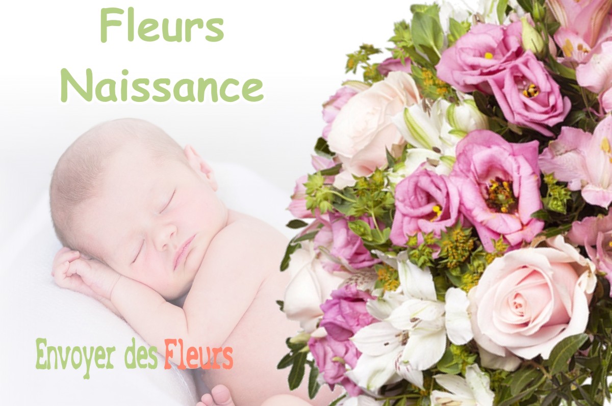 lIVRAISON FLEURS NAISSANCE à VILLARS-SUR-VAR